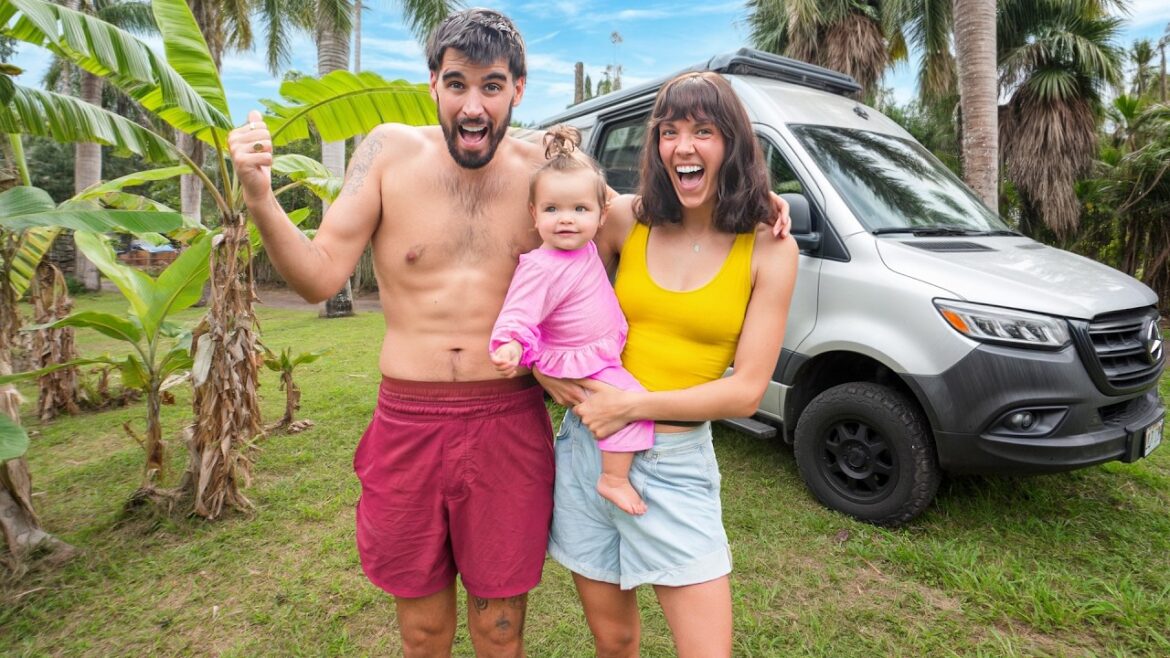 Back to Van Life Back to Van Life