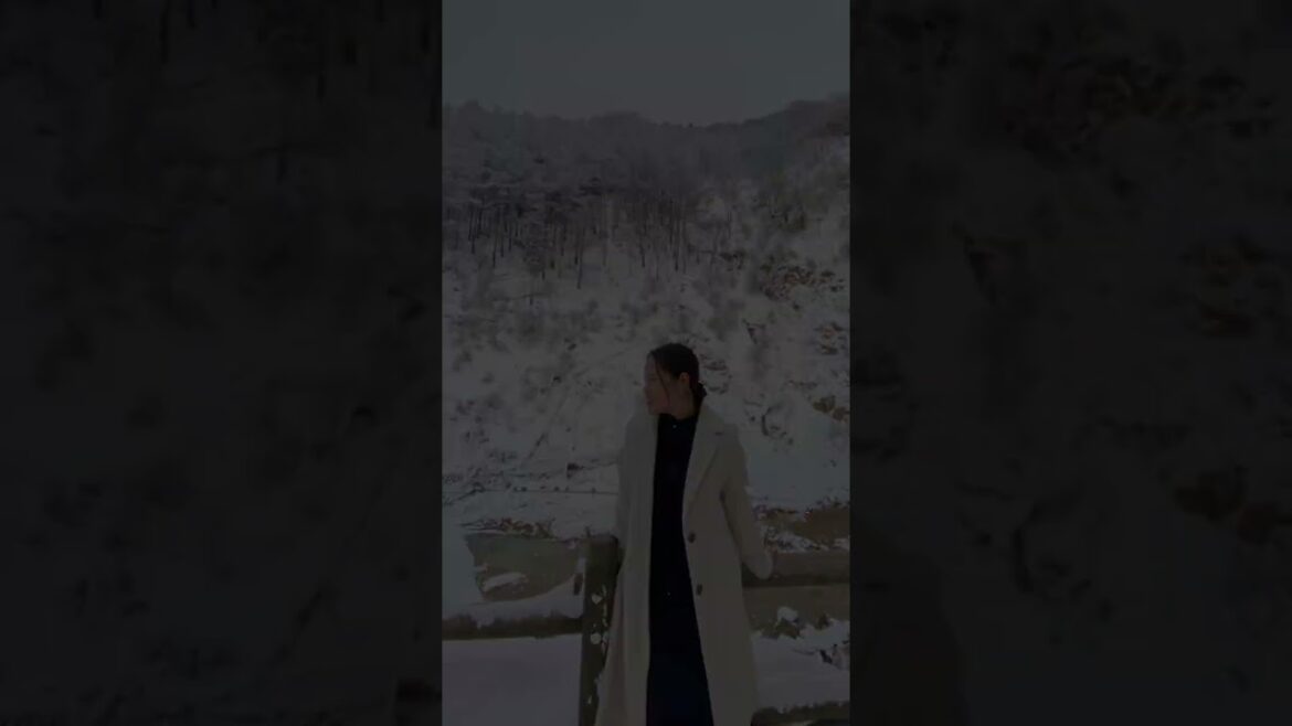 ❤️ #travel #snowmonkey #nagano #youtubeshorts #viralshort #keeploving #rljapanvlogs9165