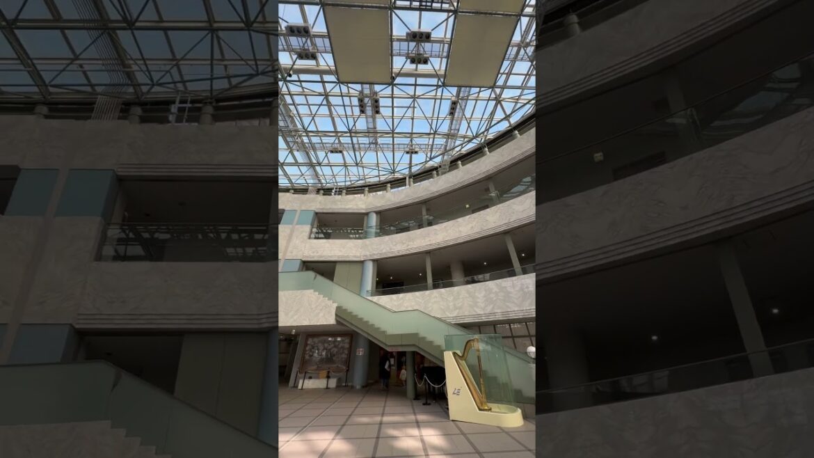 羽曳野市立生活文化情報センター #日本 #関西 #大阪 #京都 #旅行 #観光 #冬 #japan #japantravel #travel #winter #kyoto #vlog #shorts