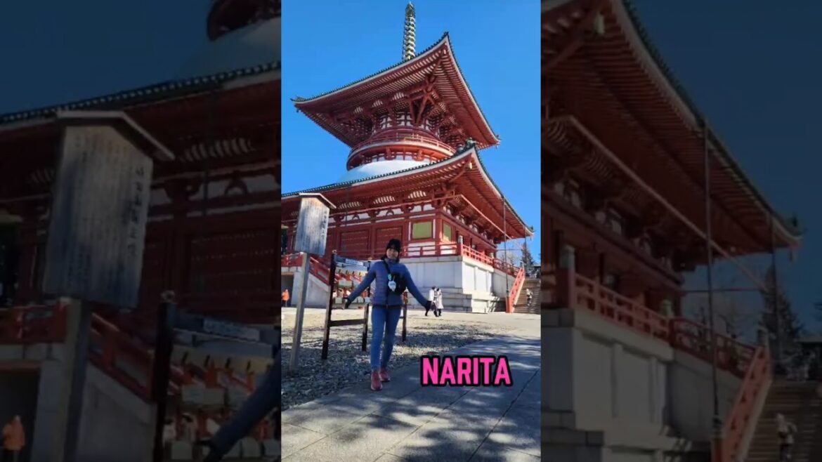 Leaving Narita, Japan