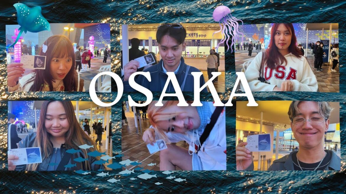 shinkansen & osaka aquarium kaiyukan 𓆝 𓆟 𓆞