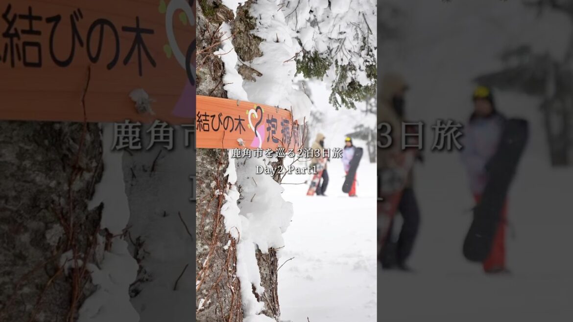国立公園でスキーを楽しめる場所といえば...⛷️【鹿角市を巡る2泊3日旅 ~2-1~】
