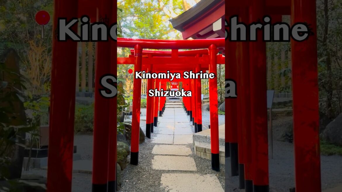 ⛩️ Kinomiya Shrine - Shizuoka