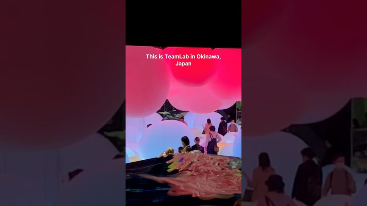 🎨TeamLab, Okinawa🇯🇵 #shorts 🎨TeamLab, Okinawa🇯🇵 #shorts