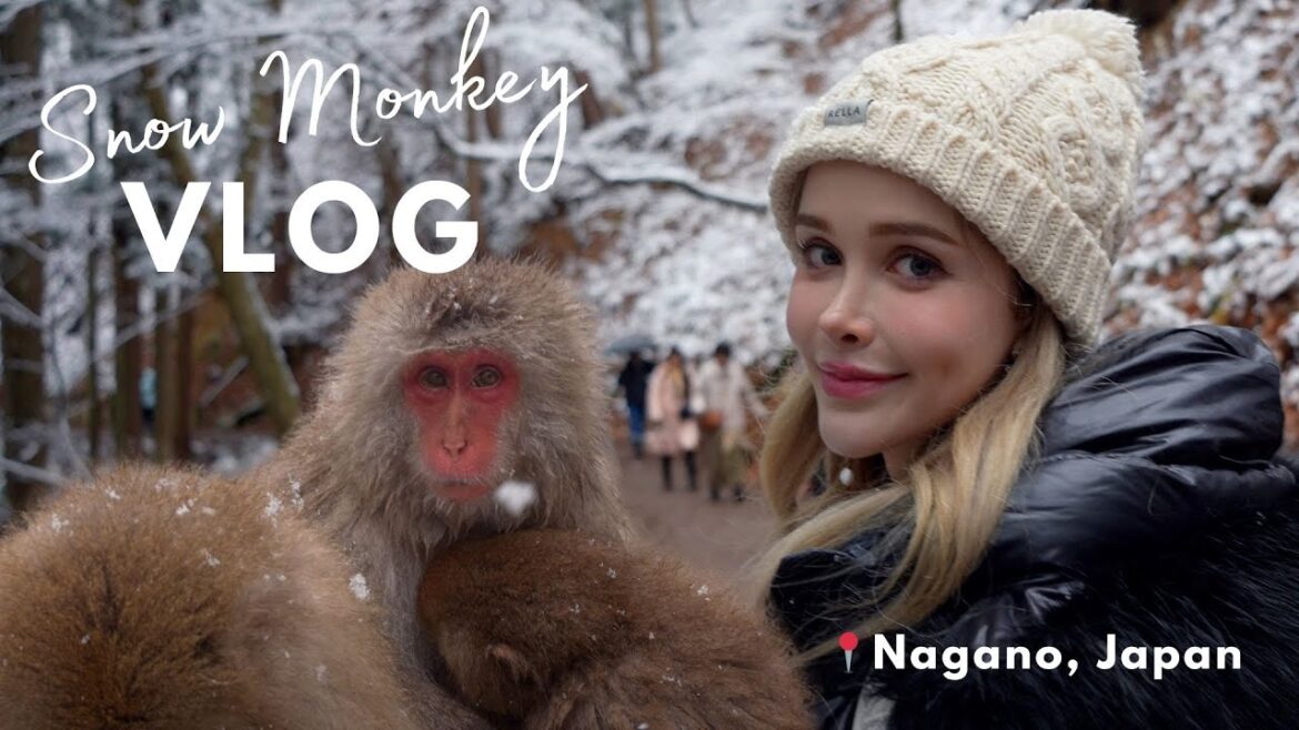 SNOW MONKEYS IN JAPAN VLOG! ❄️🐵 Spend a Day in Nagano With Me!