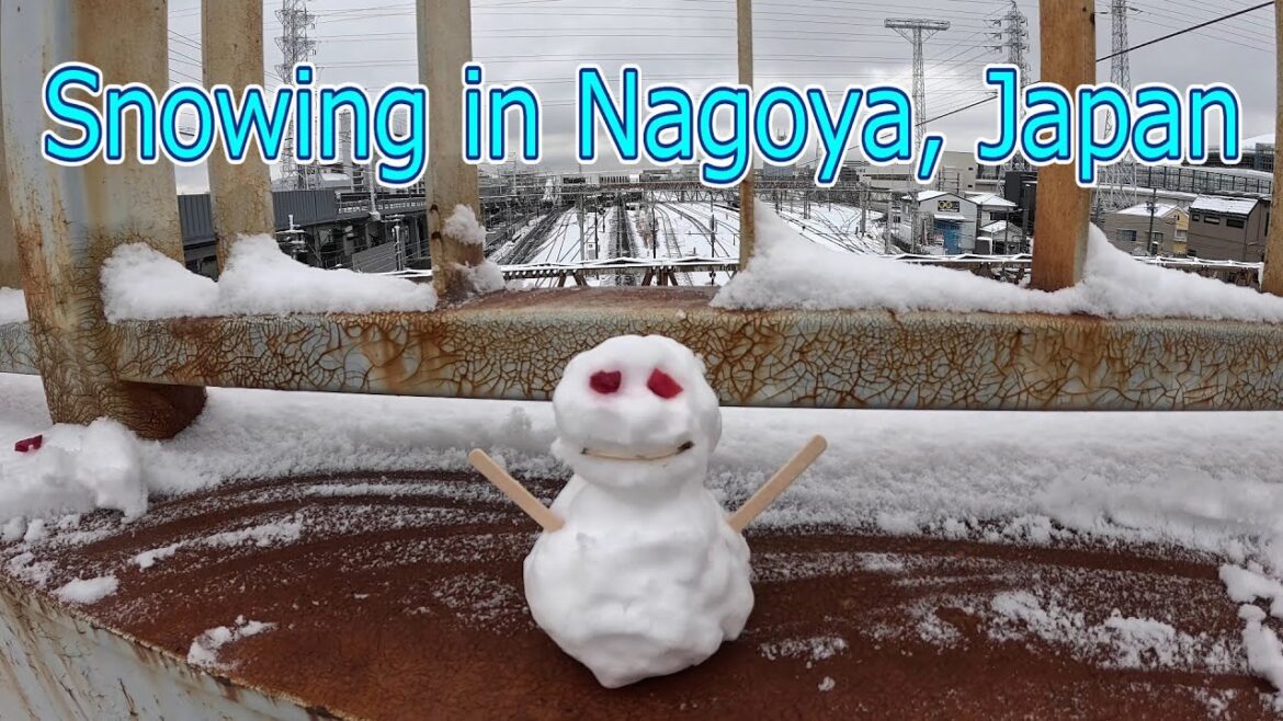 I enjoyed taking a walk in the snowy weather in Nagoya! | Walking tour Japan