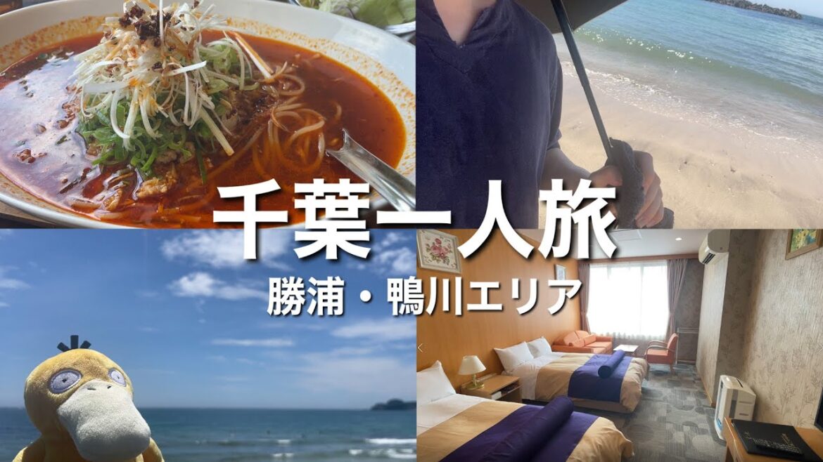 【Vlog】ワタにゃんの夏休みin千葉【一人旅】 【Vlog】ワタにゃんの夏休みin千葉【一人旅】
