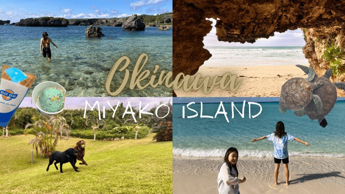 [OKINAWA] Miyako-Island Trip!! 2022-2023