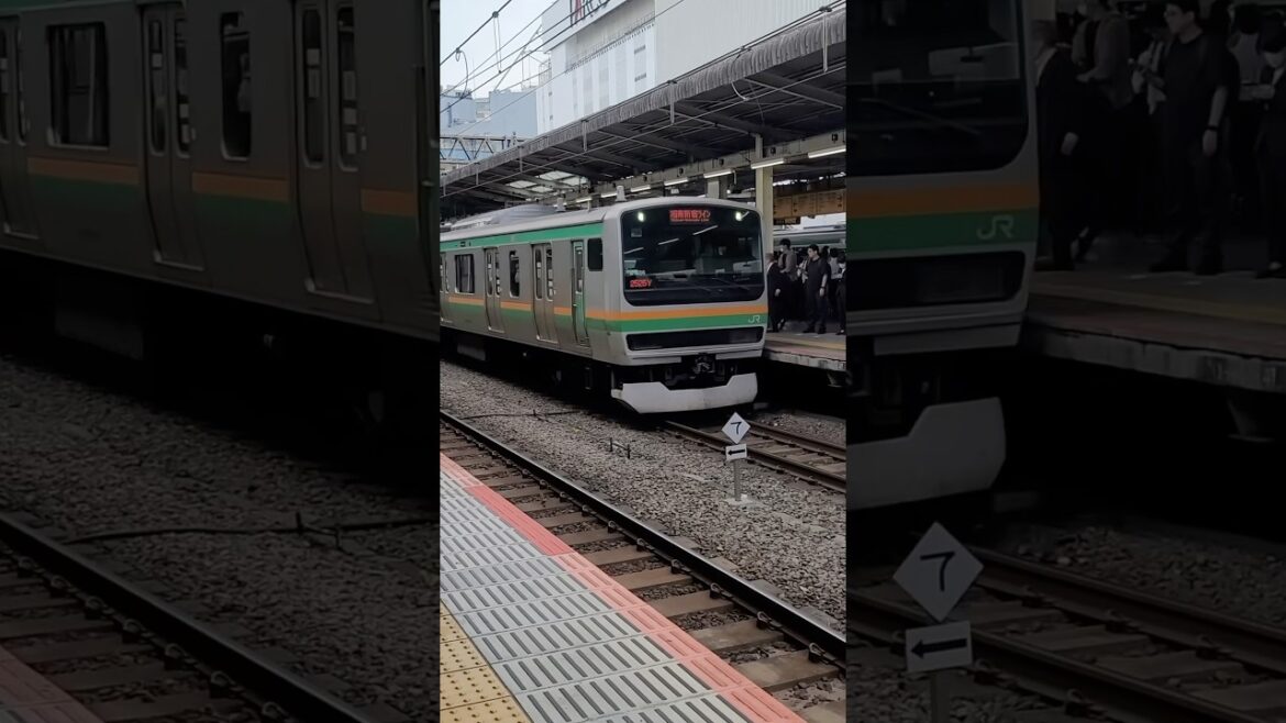 🇯🇵Japan Rail Arriving at Station. #shorts #train