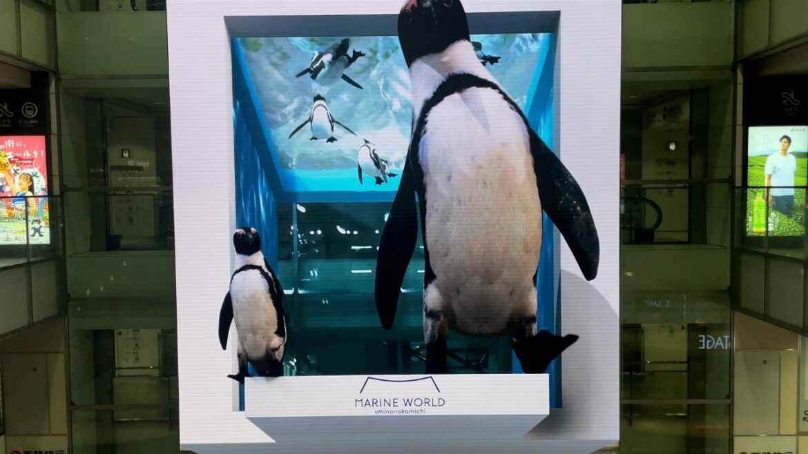 3D Giant Penguin Billboard at Fukuoka Station|西鉄福岡(天神)駅に登場!3D巨大ペンギン 🐧 3D Giant Penguin Billboard at Fukuoka Station|西鉄福岡(天神)駅に登場!3D巨大ペンギン 🐧