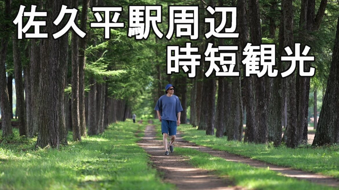 【長野県佐久市観光スポット】佐久平駅周辺時短観光