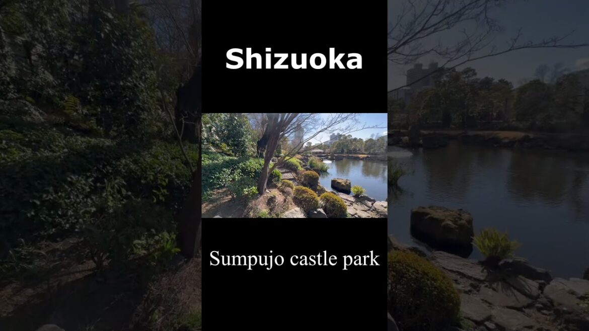 【静岡】駿府城公園~Sumpujo castle park,Shizuoka Japan~ #静岡 #shizuoka #駿府城