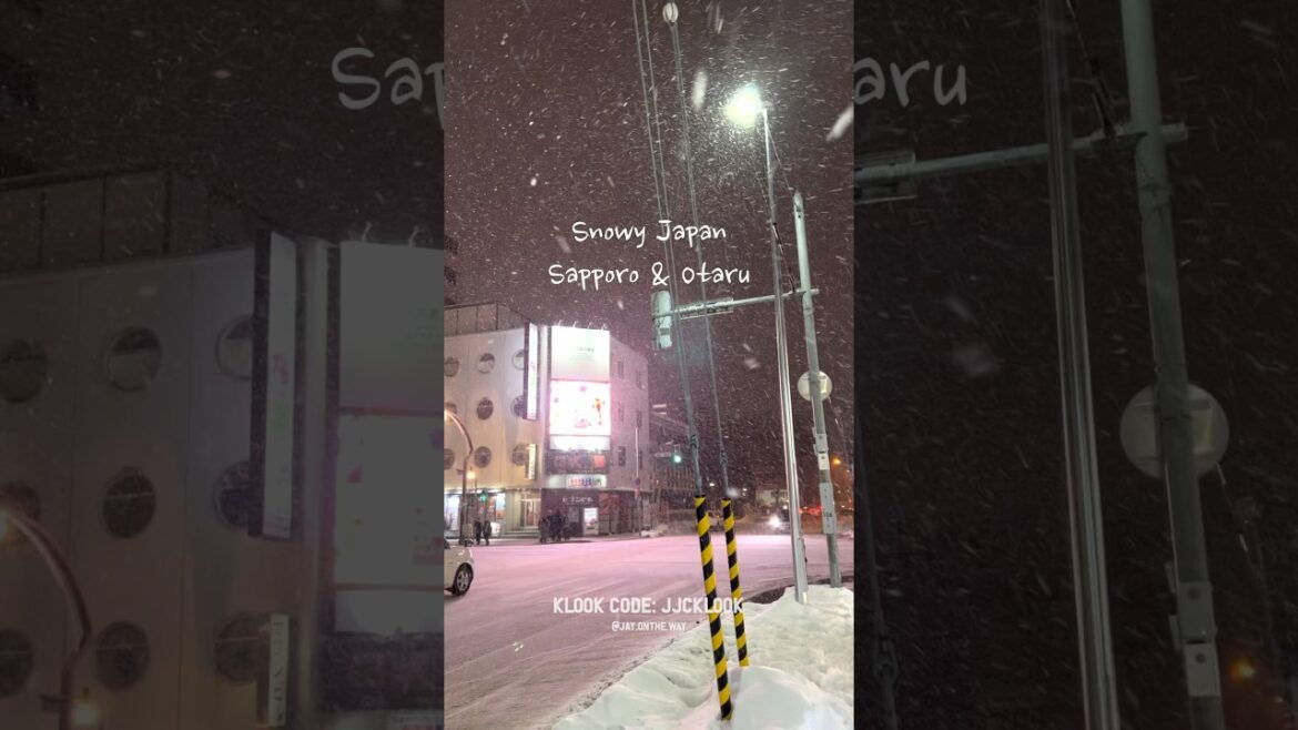 cozy snowfall vibe in the charming streets of Sapporo and Otaru 🇯🇵 | Hokkaido, Japan ❄️✨