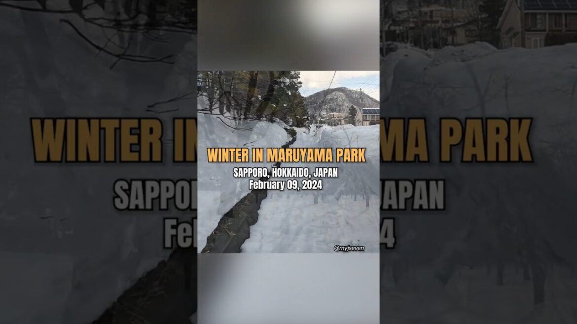 Winter in Maruyama Park #Sapporo #Japan #winter
