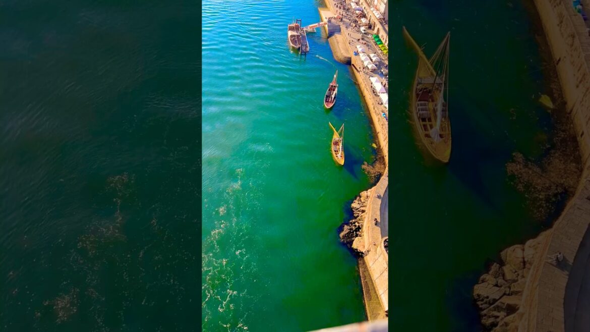 Porto in Motion: A Journey Through Ribeira, Porto, Portugal 🇵🇹 #travel #porto  #europe