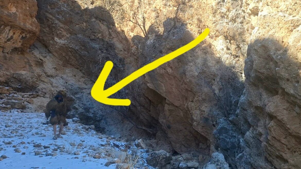 Giant found in the mountains of Iran…#like #love #funny Giant found in the mountains of Iran...#like #love #funny