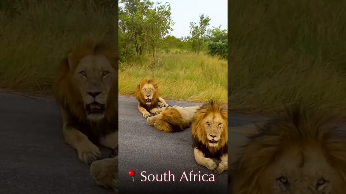 New Season, New Destinations | Feb-March Tours | Group Tour | Kesari Tours  | 2025.