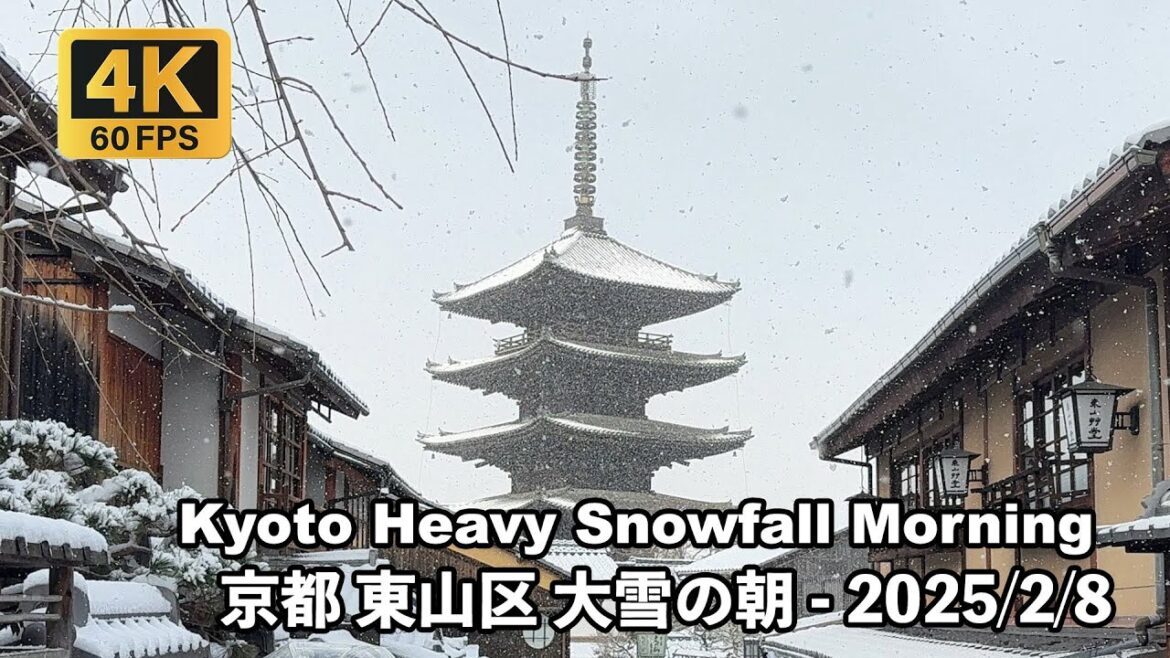 [4K] 京都東山区に雪が降るの日 2025/2/8 -  Kyoto Snow Day  #八坂の塔