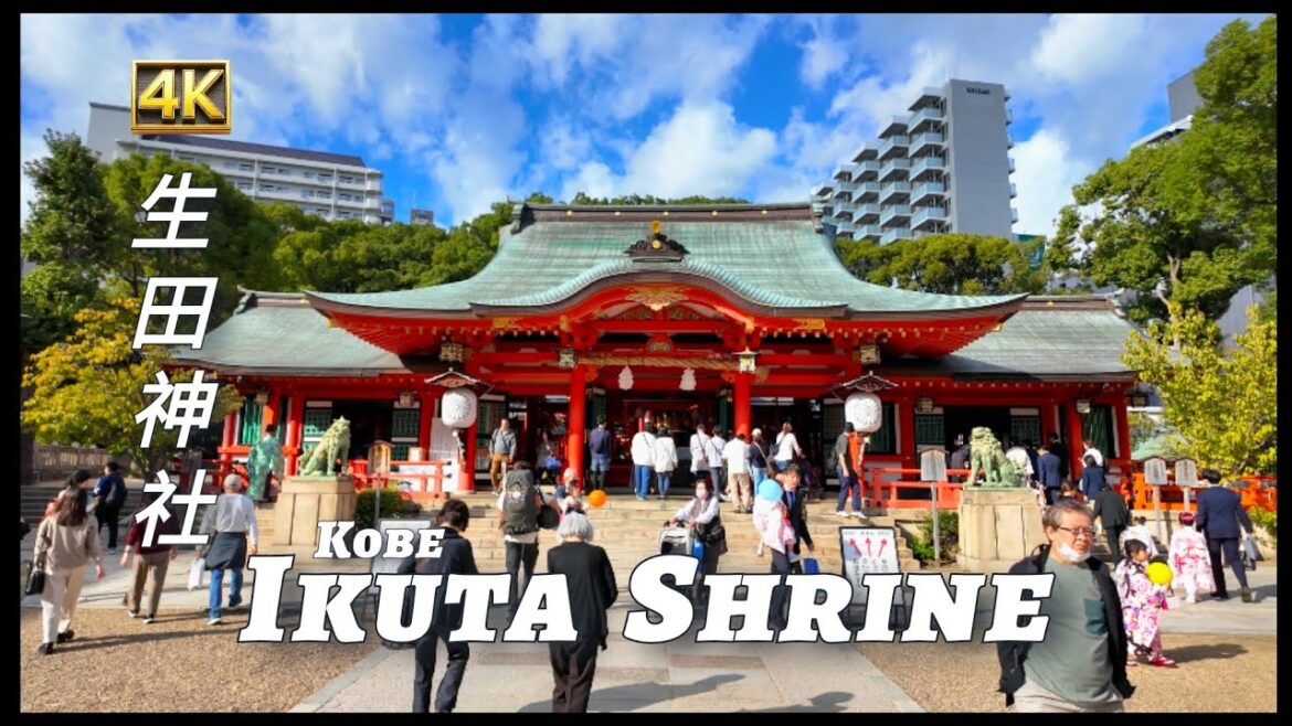 Ikuta Shrine: Where History Meets Serenity in Kobe #xiaoqiangwalker #kobe #japan Ikuta Shrine: Where History Meets Serenity in Kobe #xiaoqiangwalker #kobe #japan
