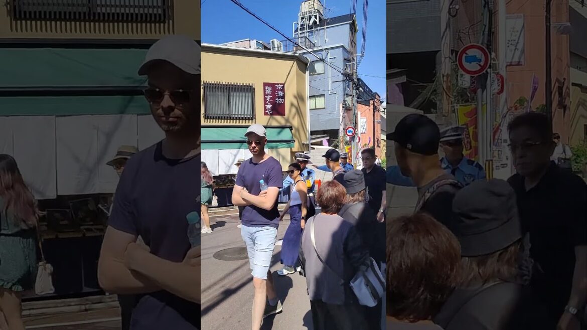 crossing a junction in Kyoto 京都市 #kyoto #vacation  #travel