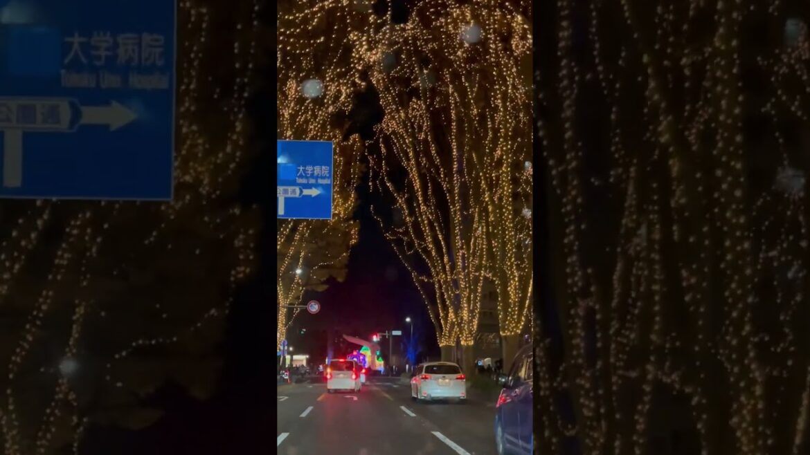 Illumination ￼in Sendai, Japan 🇯🇵 #shortsvideo  #japan #japantravel  #illumiilluminated n nated