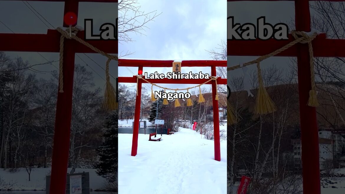 ⛄️❄️Lake Shirakaba – Nagano (白樺湖 – 長野) ⛄️❄️Lake Shirakaba - Nagano (白樺湖 – 長野)