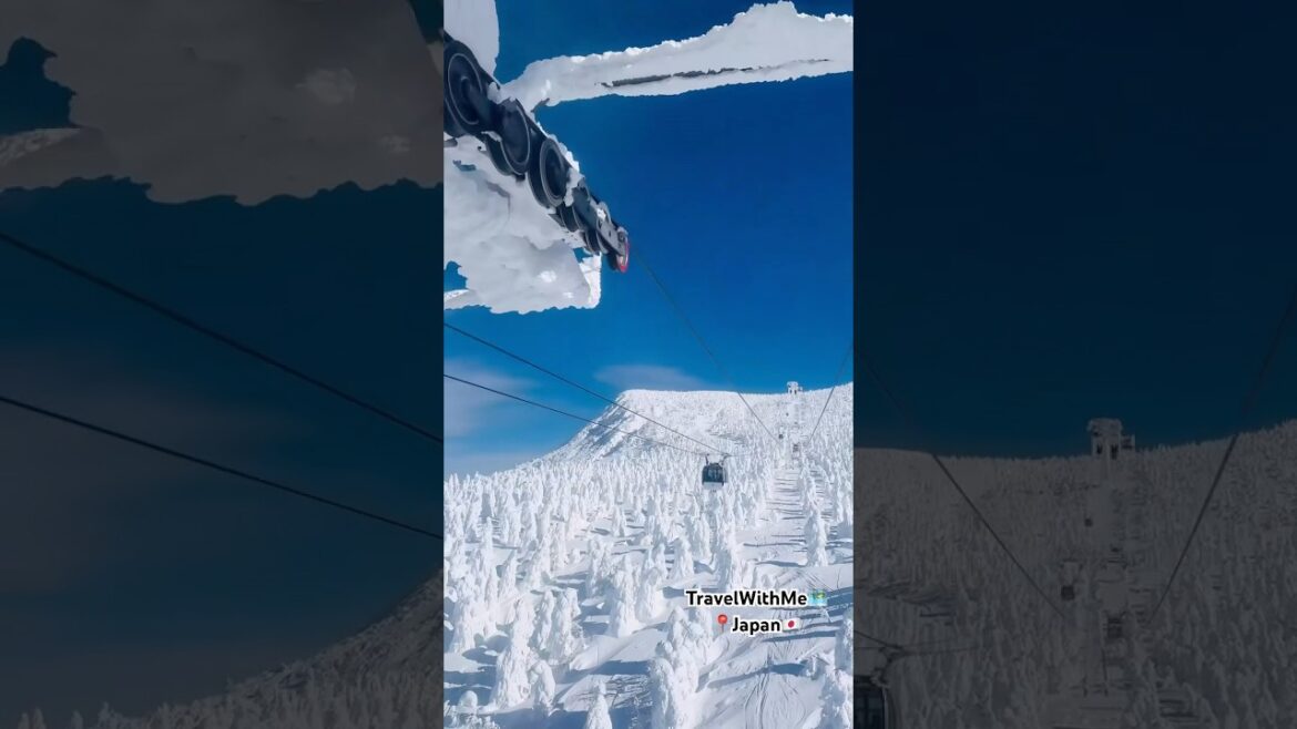 Most Beautiful View in Japan🇯🇵❄️🏂  📍Yamagata, Japan🎌