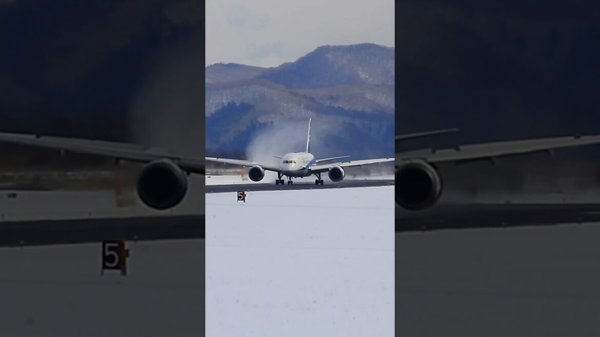 2025.2.10函館空港　除雪作業中の為ホールディング（空中待機）ＡNＡ　Boeing 787-8 Dreamliner 788 （JA816A）