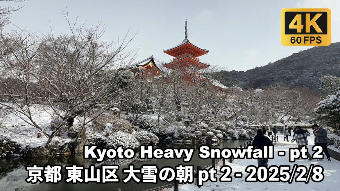 [4K] 京都東山区に雪が降るの日 2025/2/8 pt 2 - Kyoto Snow Day - Kiyomizu to Yasaka in the snow #清水寺