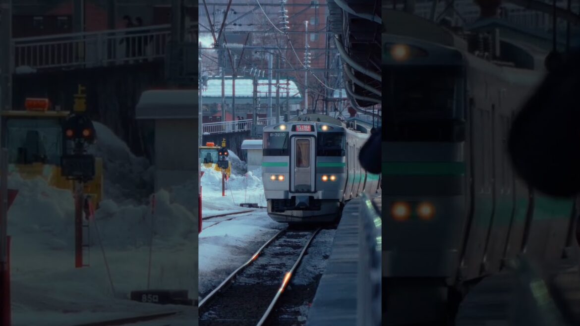 오타루 기차역 (otaru train station)