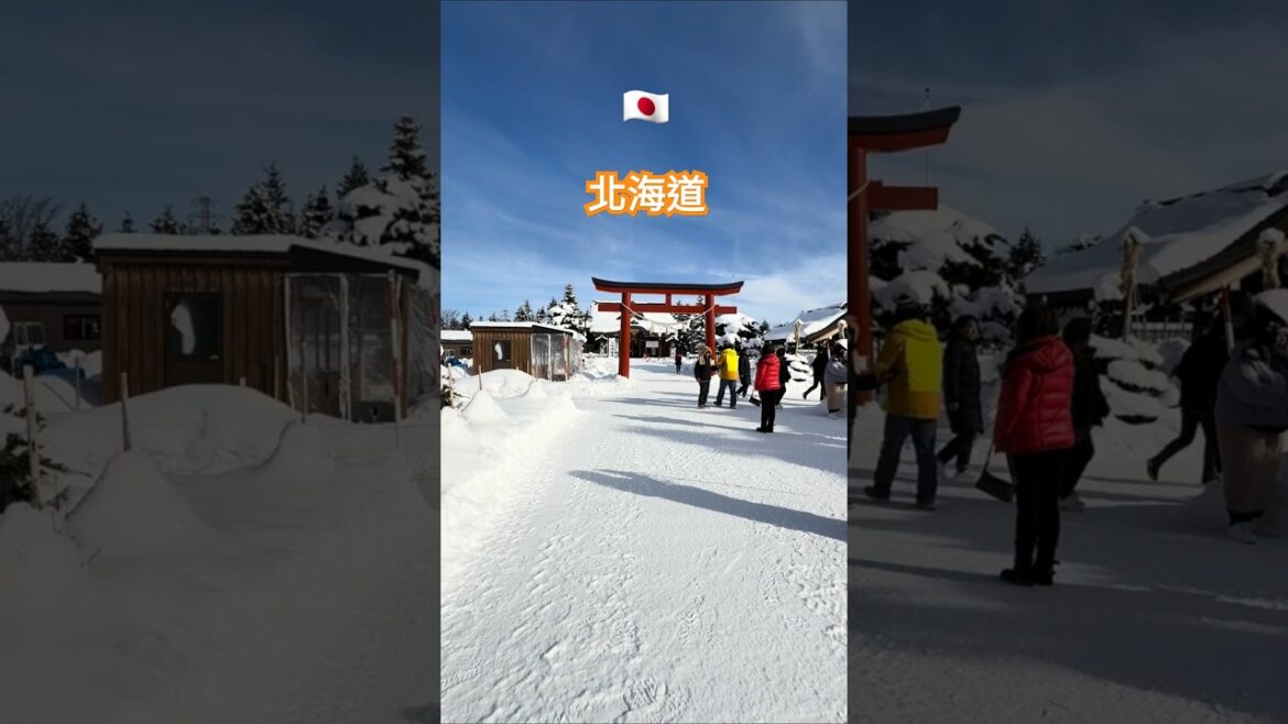 日本北海道👘函館市⛩️今年の雪景，非常壯觀。Hokkaido, Japan＃Snow