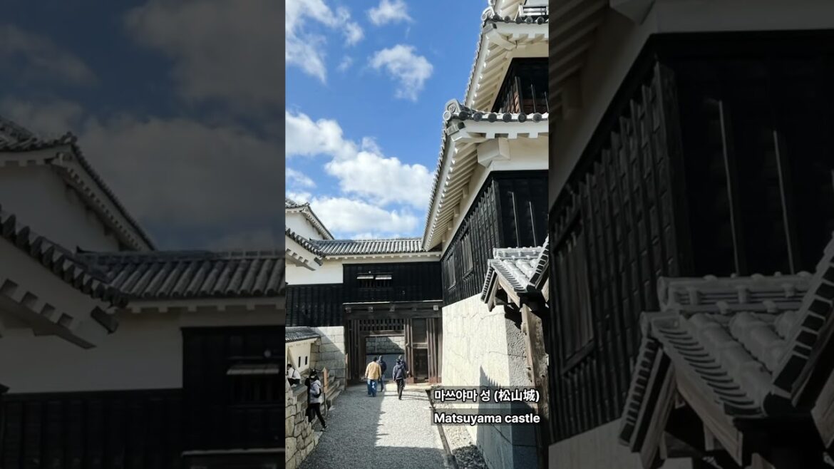 Matsuyama, Japan #마쓰야마