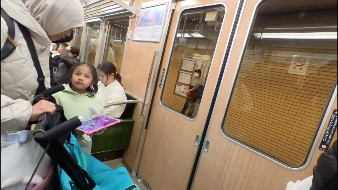 Tokyo to Kyoto by bullet train - Travel Japan