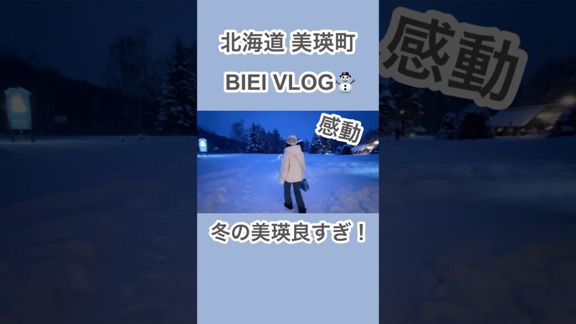 冬の北海道 美瑛町観光スポット巡り!美瑛の絶対行くべき観光地⛄️Hokkaido biei vlog🤍#美瑛町 #biei #美瑛 クリスマスツリーの木|青い池|お勧めスポット