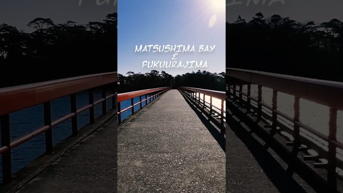 #shorts #japan #miyagi #matsushima #fukuurajima #sendai #tohoku #visitjapan #traveljapan #video