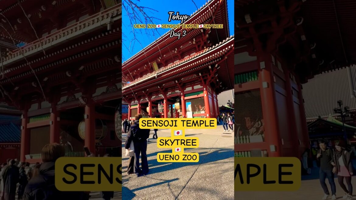 TOURIST HOTSPOTS a FIRST-TIMERS GUIDE 🇯🇵 TOKYO, JAPAN Day 3 TOURIST HOTSPOTS a FIRST-TIMERS GUIDE 🇯🇵 TOKYO, JAPAN Day 3