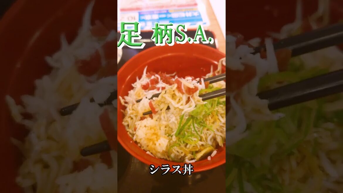 足柄サービスエリアでシラス丼 Shirasu donburi at Ashigara service area #Short