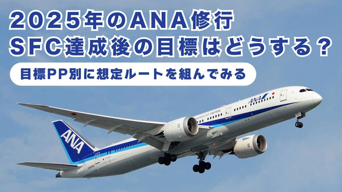【SFC修行】2025年のANA修行✈️SFC達成後の目標はどうする？
