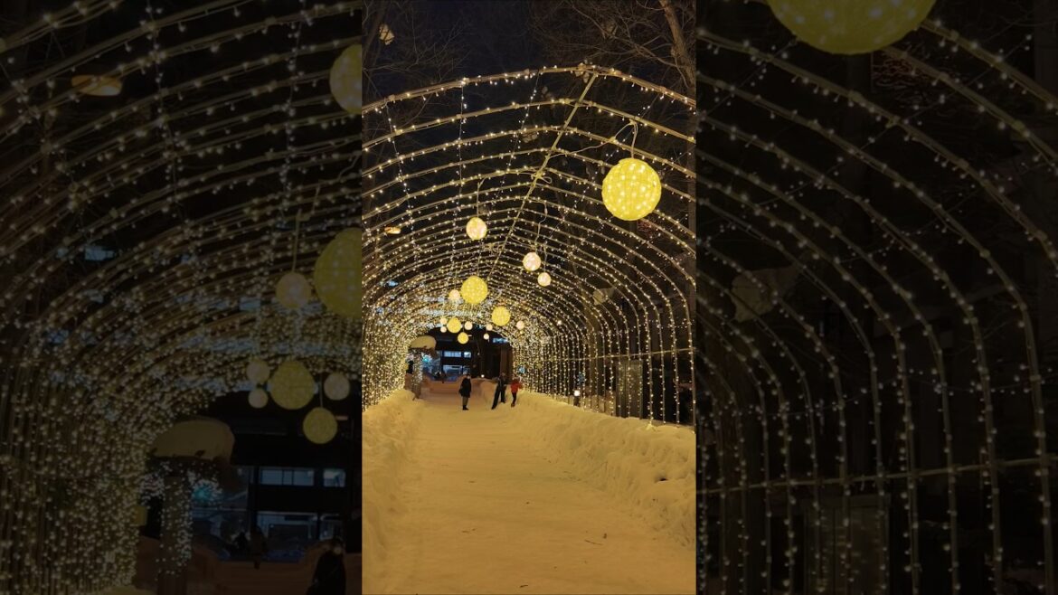 北海道旭川冬祭，光之隧道。