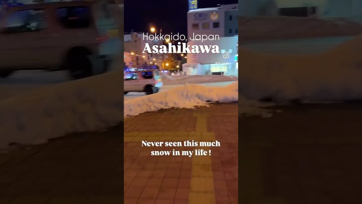 Hokkaido Snow View | Asahikawa | 홋카이도 눈구경✨ Hokkaido Snow View | Asahikawa | 홋카이도 눈구경✨