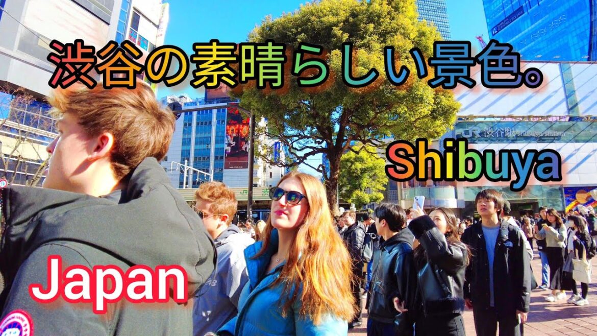 [4K] Shibuya Day Walk. # Amazing view of Shibuya City. Tokyo, Japan.