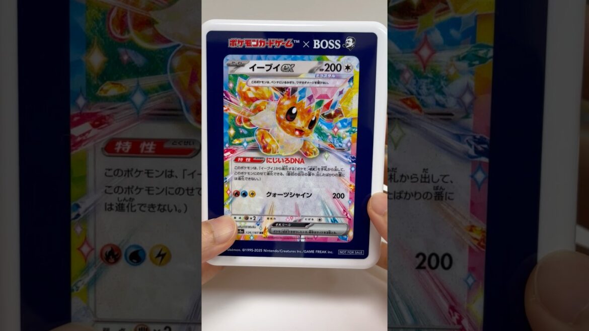 Pokemon Card Lunch Box Eevee #shorts