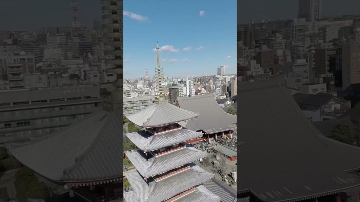 Fly Over Sensō-ji in #asakusa #tokyo #drone