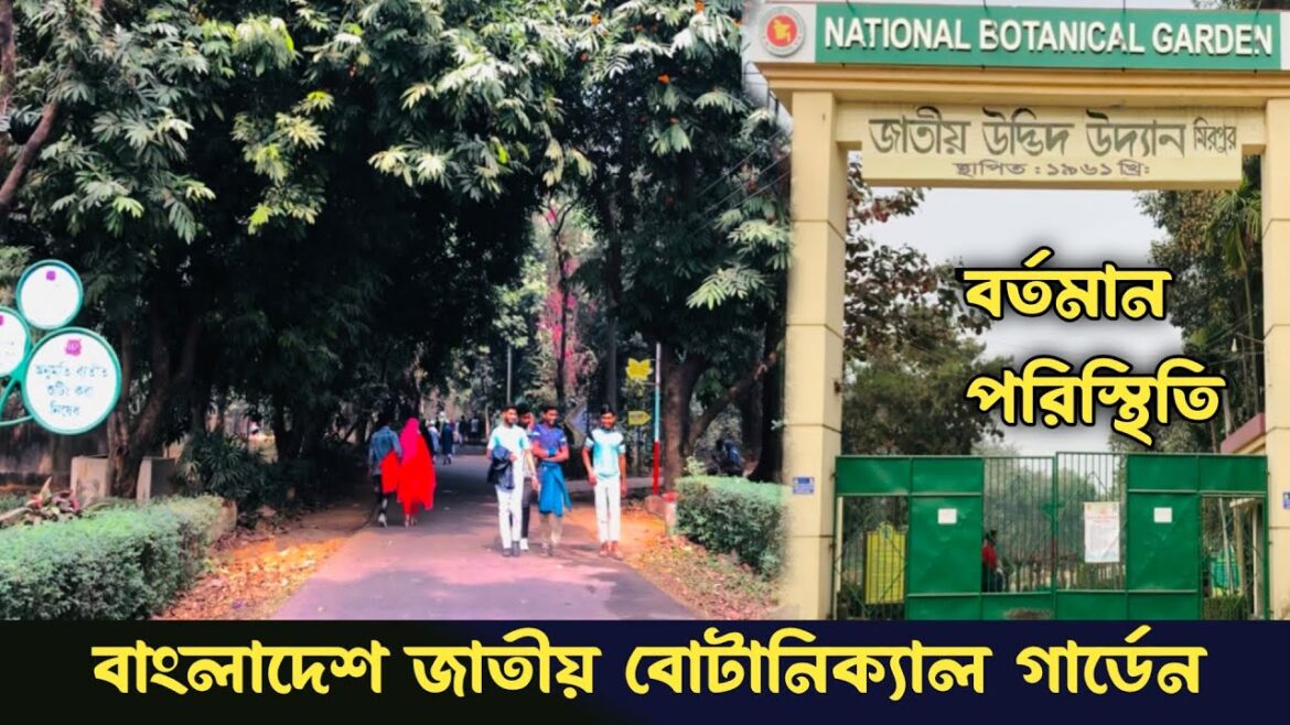 জাতীয় বোটানিক্যাল গার্ডেন ঢাকা মিরপুর। জাতীয় উদ্ভিদ উদ্যান। National Botanical Garden #garden জাতীয় বোটানিক্যাল গার্ডেন ঢাকা মিরপুর। জাতীয় উদ্ভিদ উদ্যান। National Botanical Garden #garden