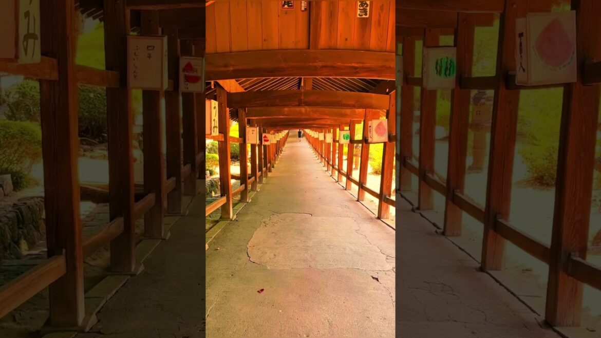 Kibitsu Shrine  / 吉備津神社#travel #旅行 #visitjapan #観光 #japanesetour #japantrip