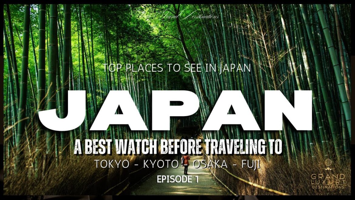 TOP THINGS TO DO IN JAPAN | Ultimate Travel Guide, Food & Tips TOP THINGS TO DO IN JAPAN | Ultimate Travel Guide, Food & Tips