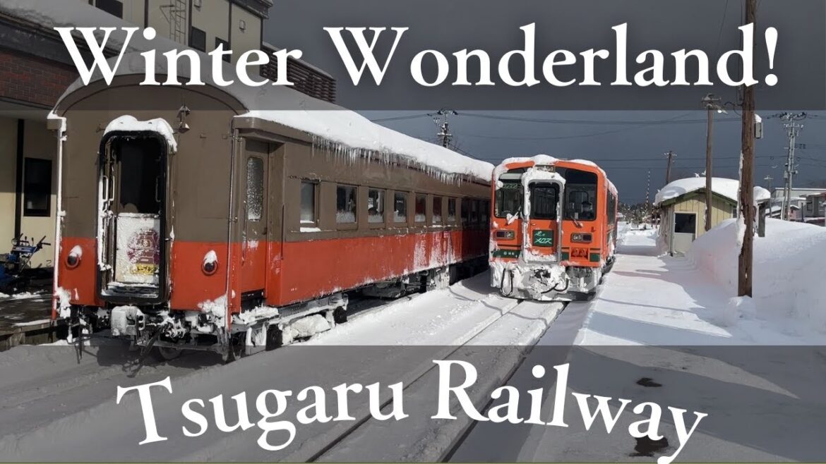 ⛄️❄️心に残る冬景色！津軽鉄道が見せる雪国の美しさ⛄️❄️ #青森 #aomori