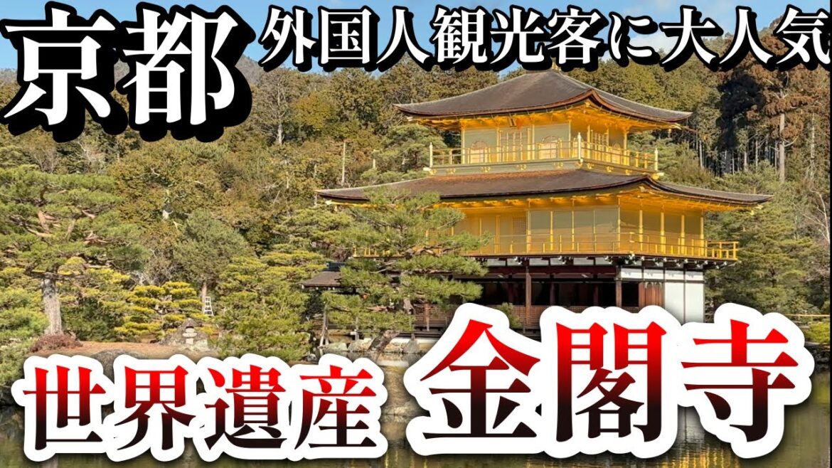 [京都|Kyoto]金閣寺を観光｜世界遺産を散策｜Kyoto "Kinkaku-ji Temple" Walking Tour