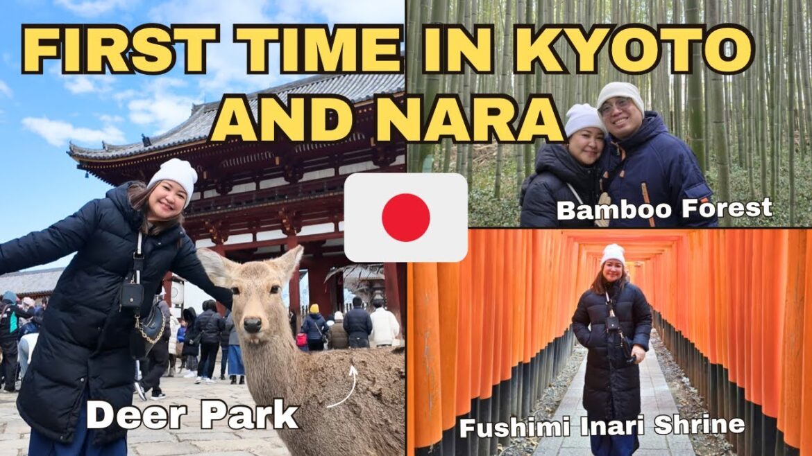 Day Tour in Kyoto and Nara:Nara Deer Park, Fushimi Inari Shrine, Arashiyama Bamboo Forest| kriserika