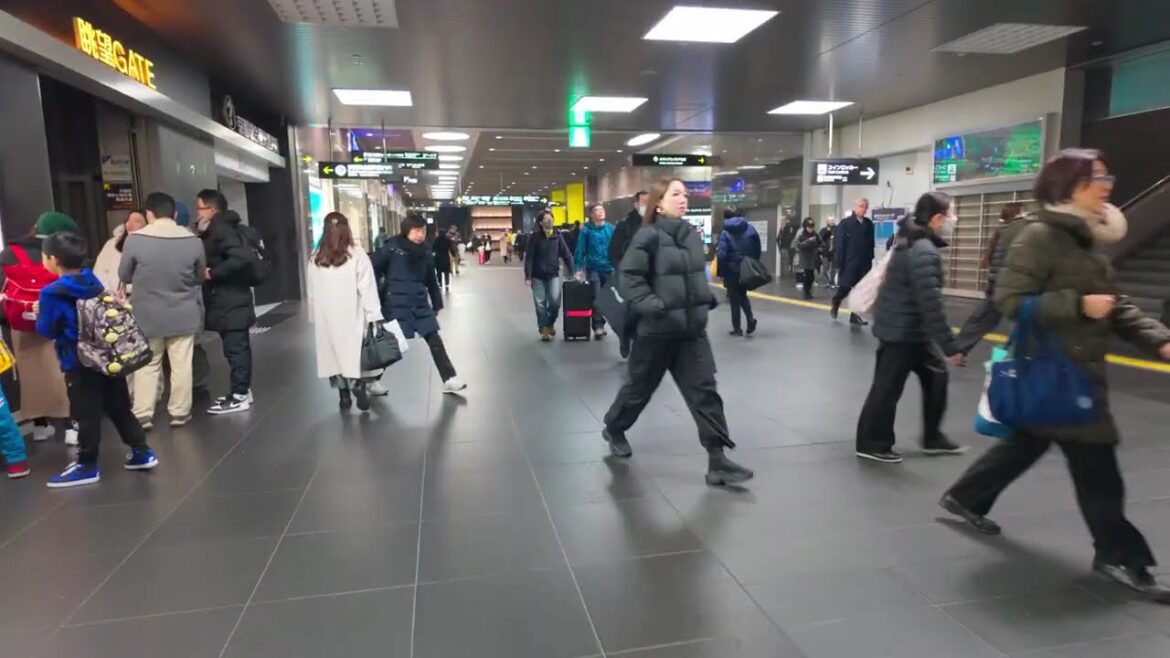 【京都|Kyoto】2025/2/12/夜の京都駅を歩く | Walking around Kyoto Station at night |4K| 【京都|Kyoto】2025/2/12/夜の京都駅を歩く | Walking around Kyoto Station at night |4K|